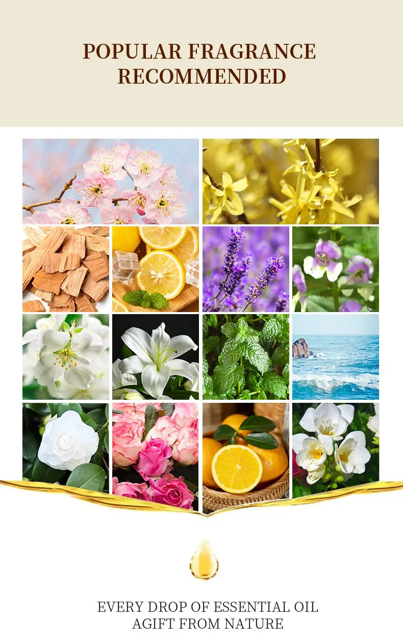 10 ML Aromatherapy essential oil