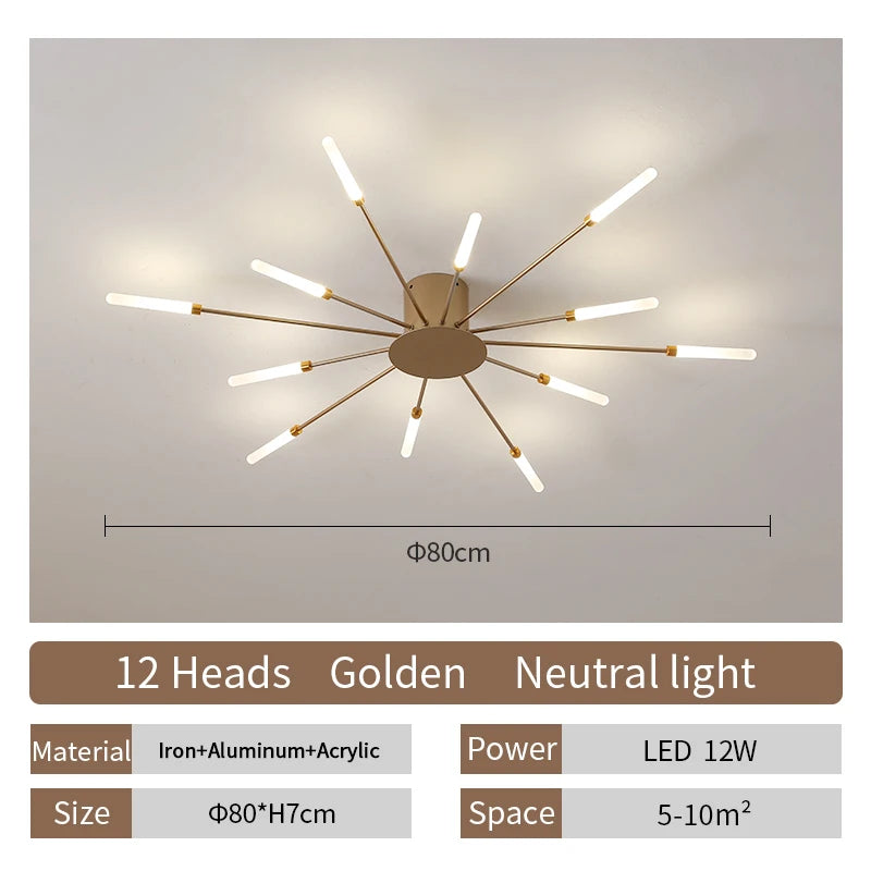 Led Ceiling Lamp