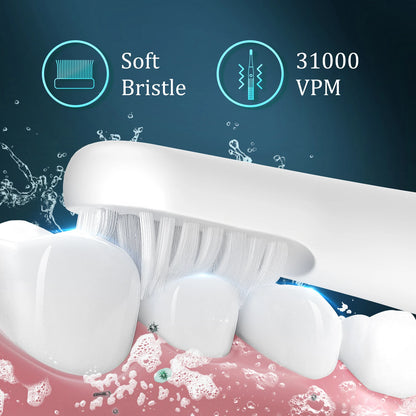 Electric Toothbrush
